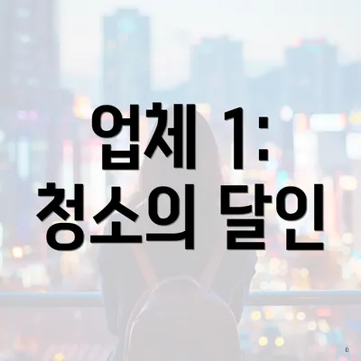 업체 1: 청소의 달인