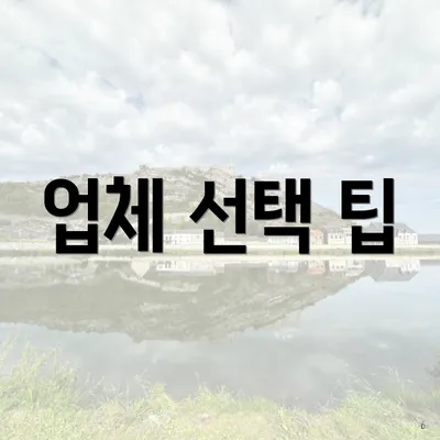 업체 선택 팁