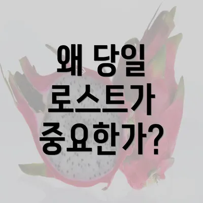 왜 당일 로스트가 중요한가?