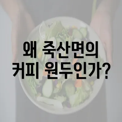 왜 죽산면의 커피 원두인가?