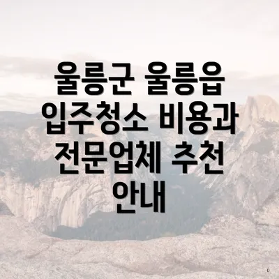 울릉군 울릉읍 입주청소 비용과 전문업체 추천 안내