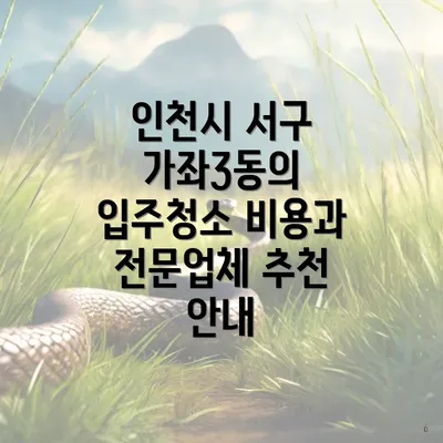 인천시 서구 가좌3동의 입주청소 비용과 전문업체 추천 안내