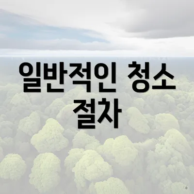 일반적인 청소 절차