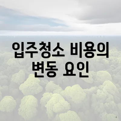 입주청소 비용의 변동 요인