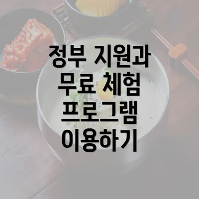 정부 지원과 무료 체험 프로그램 이용하기