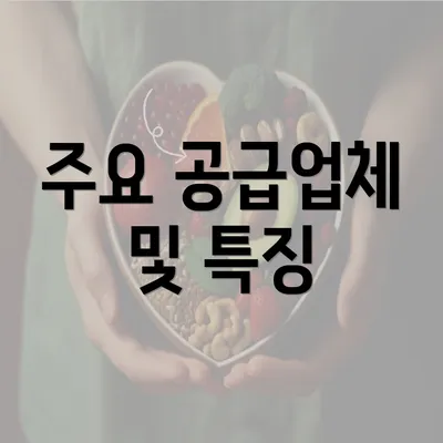 주요 공급업체 및 특징