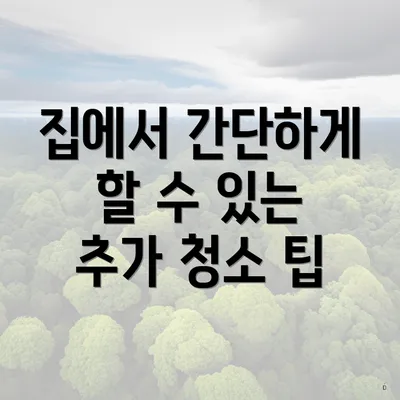 집에서 간단하게 할 수 있는 추가 청소 팁