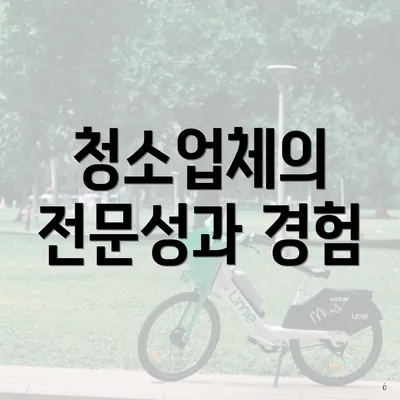 청소업체의 전문성과 경험