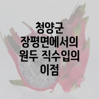 청양군 장평면에서의 원두 직수입의 이점