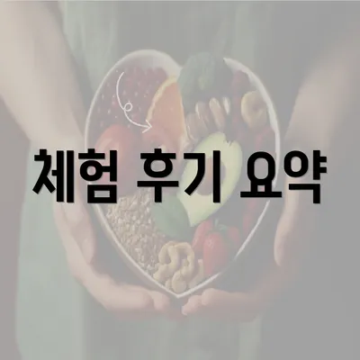 체험 후기 요약