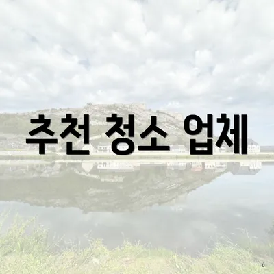 추천 청소 업체