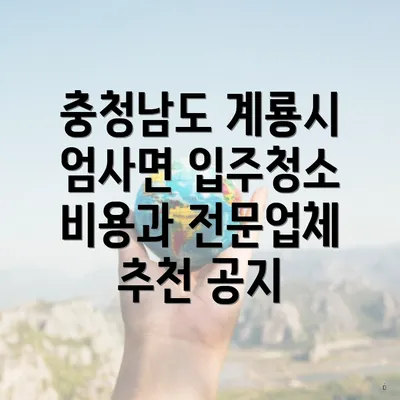 충청남도 계룡시 엄사면 입주청소 비용과 전문업체 추천 공지