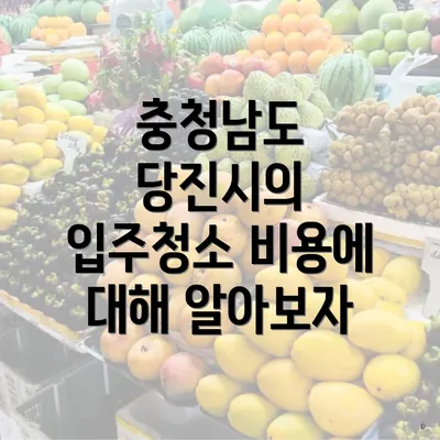 충청남도 당진시의 입주청소 비용에 대해 알아보자