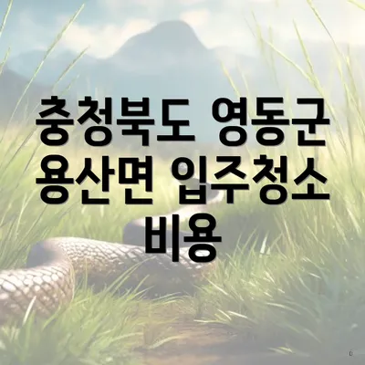 충청북도 영동군 용산면 입주청소 비용