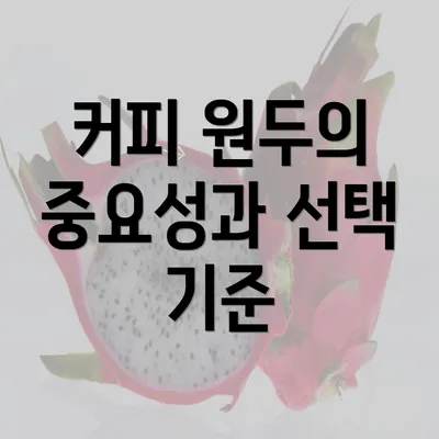 커피 원두의 중요성과 선택 기준