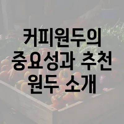 커피원두의 중요성과 추천 원두 소개