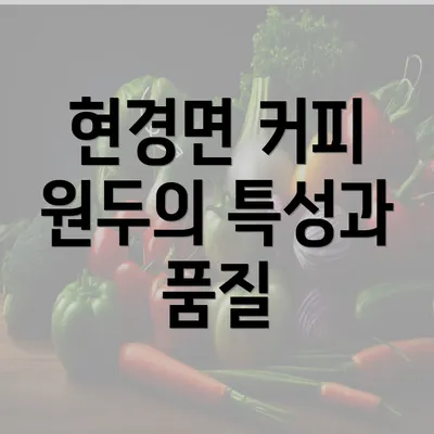 현경면 커피 원두의 특성과 품질