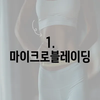 1. 마이크로블레이딩