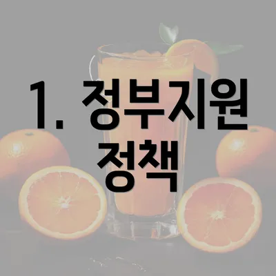 1. 정부지원 정책