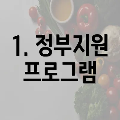 1. 정부지원 프로그램