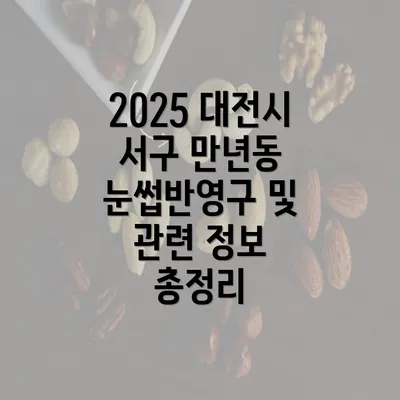 2025 대전시 서구 만년동 눈썹반영구 및 관련 정보 총정리