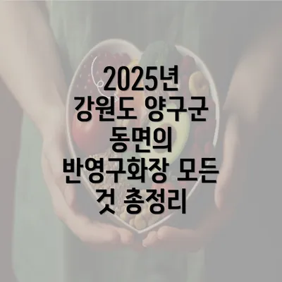 2025년 강원도 양구군 동면의 반영구화장 모든 것 총정리