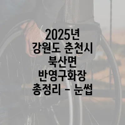 2025년 강원도 춘천시 북산면 반영구화장 총정리 - 눈썹