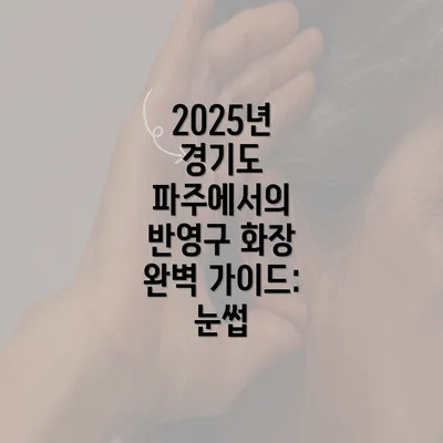 2025년 경기도 파주에서의 반영구 화장 완벽 가이드: 눈썹