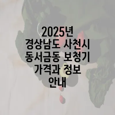 2025년 경상남도 사천시 동서금동 보청기 가격과 정보 안내