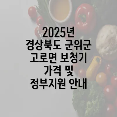 2025년 경상북도 군위군 고로면 보청기 가격 및 정부지원 안내