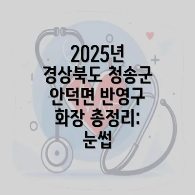 2025년 경상북도 청송군 안덕면 반영구 화장 총정리: 눈썹