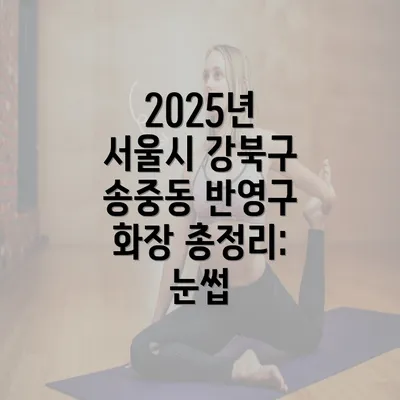 2025년 서울시 강북구 송중동 반영구 화장 총정리: 눈썹