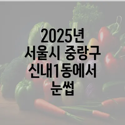 2025년 서울시 중랑구 신내1동에서 눈썹