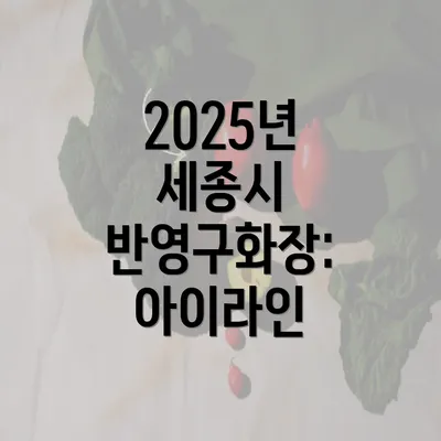 2025년 세종시 반영구화장: 아이라인