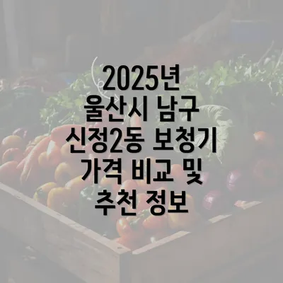 2025년 울산시 남구 신정2동 보청기 가격 비교 및 추천 정보