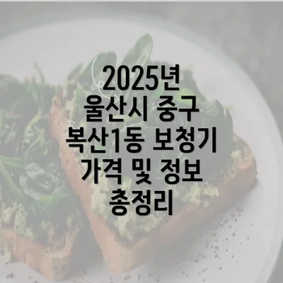 2025년 울산시 중구 복산1동 보청기 가격 및 정보 총정리