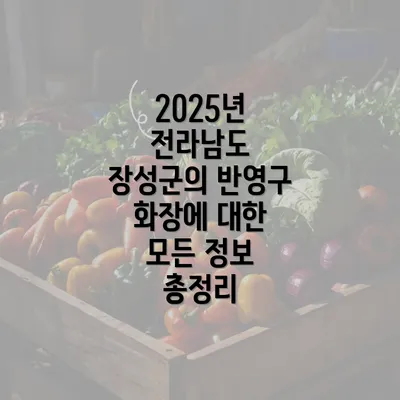 2025년 전라남도 장성군의 반영구 화장에 대한 모든 정보 총정리