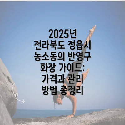 2025년 전라북도 정읍시 농소동의 반영구 화장 가이드: 가격과 관리 방법 총정리