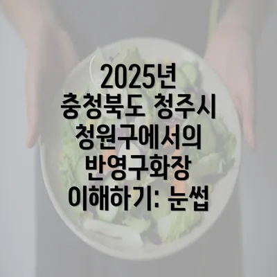 2025년 충청북도 청주시 청원구에서의 반영구화장 이해하기: 눈썹