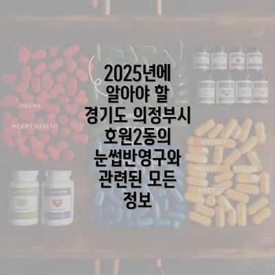 2025년에 알아야 할 경기도 의정부시 호원2동의 눈썹반영구와 관련된 모든 정보