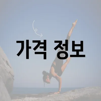 가격 정보