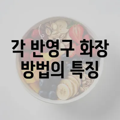 각 반영구 화장 방법의 특징