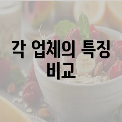 각 업체의 특징 비교