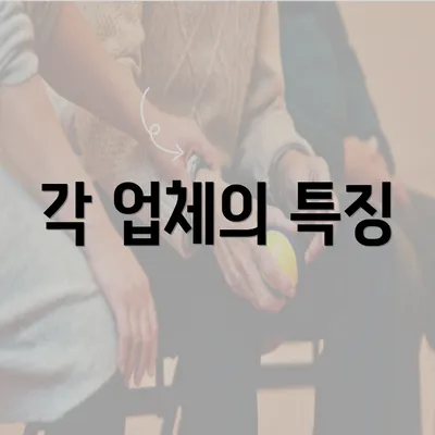 각 업체의 특징