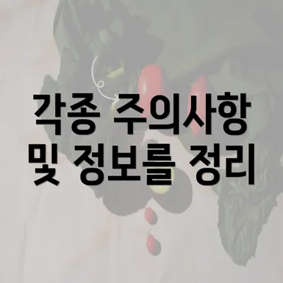 각종 주의사항 및 정보를 정리