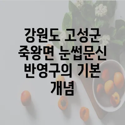 강원도 고성군 죽왕면 눈썹문신 반영구의 기본 개념