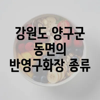 강원도 양구군 동면의 반영구화장 종류