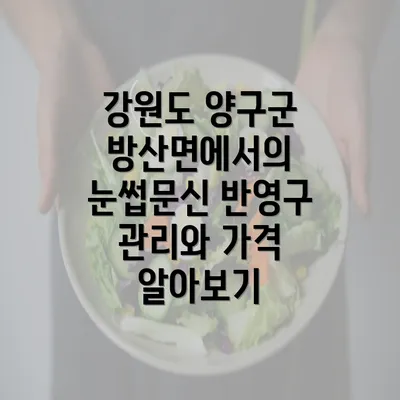 강원도 양구군 방산면에서의 눈썹문신 반영구 관리와 가격 알아보기