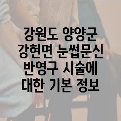 강원도 양양군 강현면 눈썹문신 반영구 시술에 대한 기본 정보