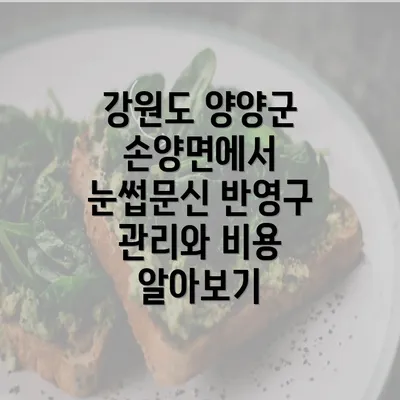 강원도 양양군 손양면에서 눈썹문신 반영구 관리와 비용 알아보기